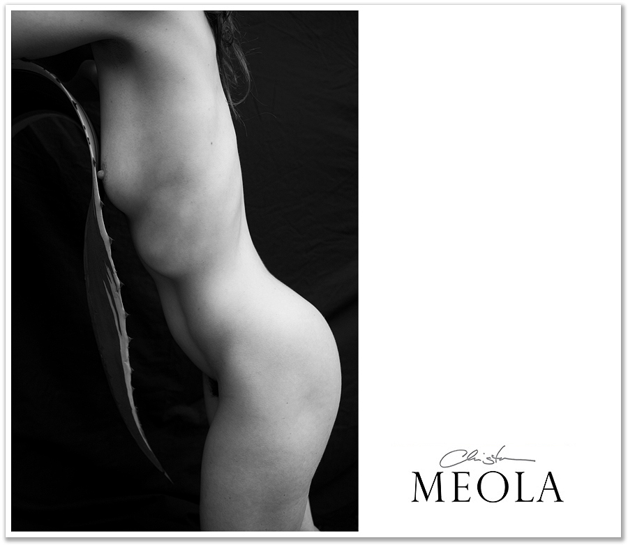 christa-meola-nudes-weston-photography-009