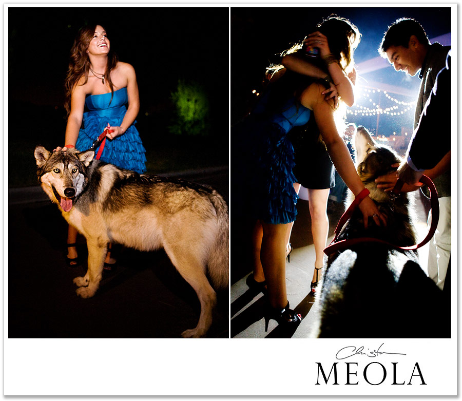 christa-meola-photography-family-birthday-011
